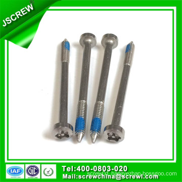 Customized M3 Self Tapping Stainless Steel Screw